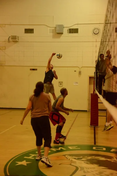 DSC_1693 (Large).JPG